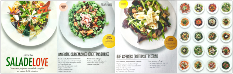 Livre SaladeLove